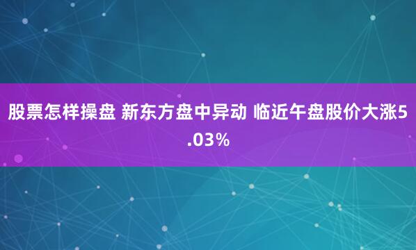 股票怎样操盘 新东方盘中异动 临近午盘股价大涨5.03%