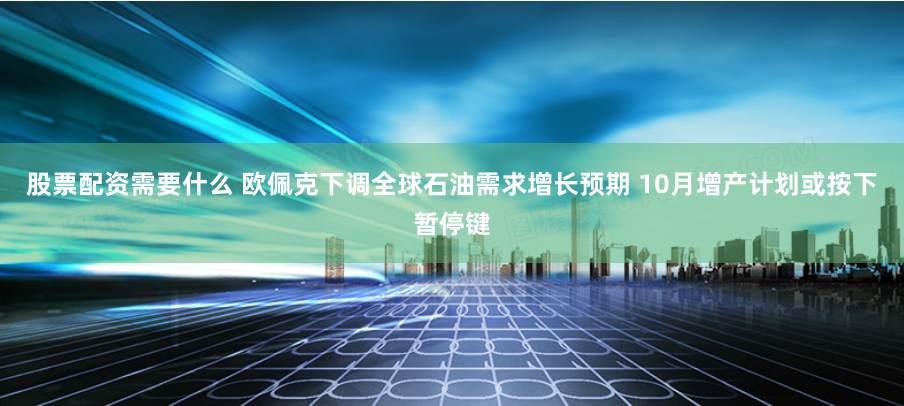 股票配资需要什么 欧佩克下调全球石油需求增长预期 10月增产计划或按下暂停键