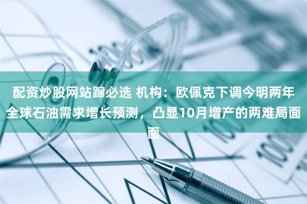 配资炒股网站蹿必选 机构：欧佩克下调今明两年全球石油需求增长预测，凸显10月增产的两难局面