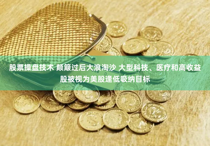 股票操盘技术 颠簸过后大浪淘沙 大型科技、医疗和高收益股被视为美股逢低吸纳目标