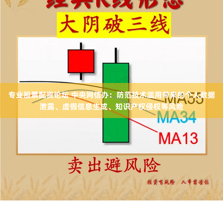 专业股票配资论坛 中央网信办：防范技术滥用带来的个人数据泄露、虚假信息生成、知识产权侵权等风险