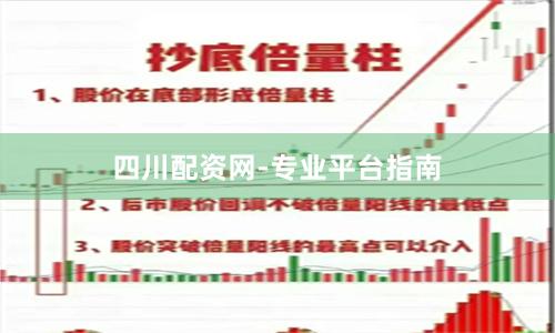 四川配资网-专业平台指南