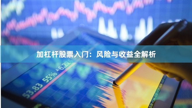 加杠杆股票入门：风险与收益全解析