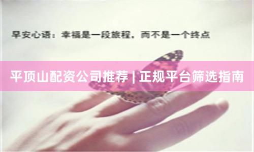 平顶山配资公司推荐 | 正规平台筛选指南